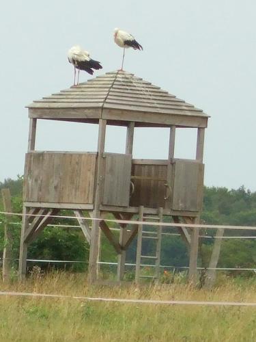 Hof Kranichweide, Holzblockhaus