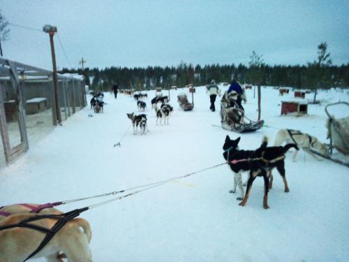 Auroracabin Chalets