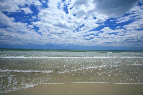 Guy Harvey Resort on Saint Augustine Beach - image 3