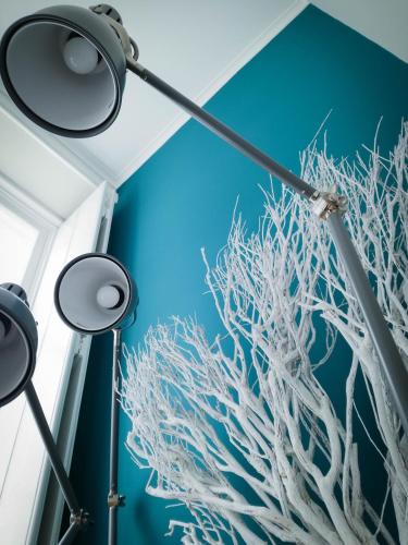 Procyon Boutique & Suites - image 5