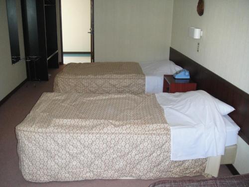 Hotel Weisser Hof Happei – Hakuba, GA