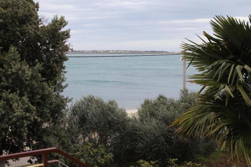 Apartments by the sea Vrsi - Mulo Zadar - 5790 - image 8