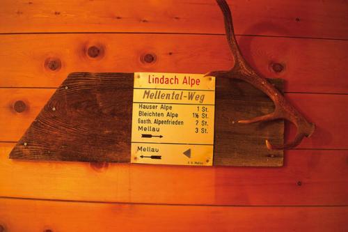 Alps Villa - image 10