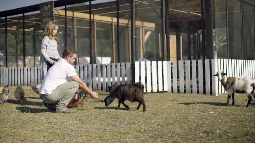 The Woods Farm Jervis Bay