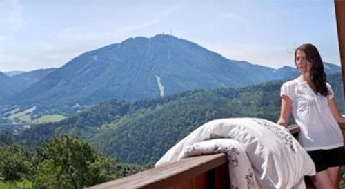 景觀, 艾爾塔梅爾豪弗農家樂 (Althammerhof) in 塞默靈附近卡嵐