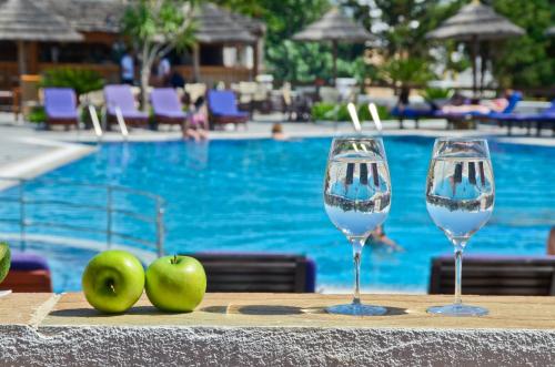 Naxos Resort Beach Hotel - image 8