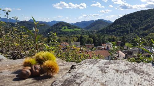 Bližnja okolica, Rustico in Miglieglia