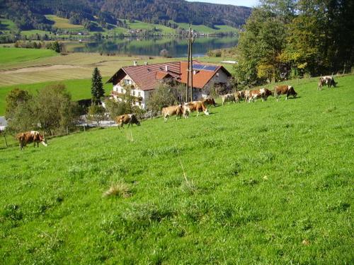 Bauernhof Kasleitner