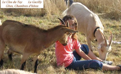 Le clos du Tay