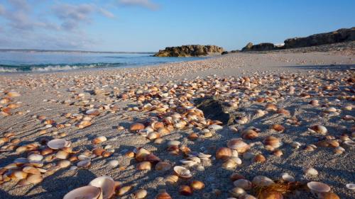 Apartamentos La Fragata Apartamentos La Fragata