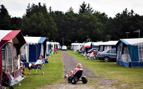 Svalereden Camping Cottages - image 5