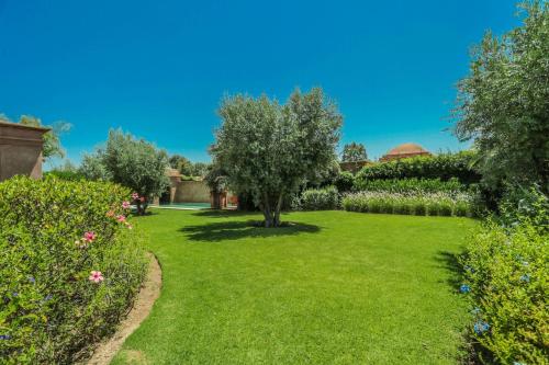 Villa Akhdar 18 - image 8