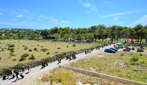  Apartments & Rooms Full of Life in Novalja