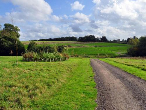 Campion Lodge - image 10