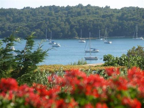  Villa Triton in Pula