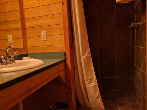 Emerald Forest Cabins - main image