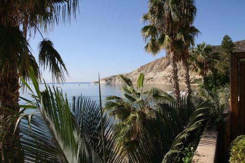 Amoroza Villa - image 7