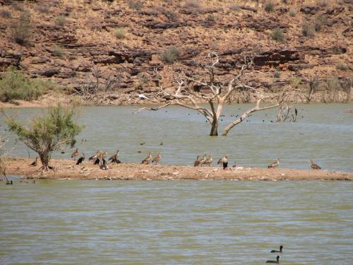 西海姆酒店 西海姆酒店