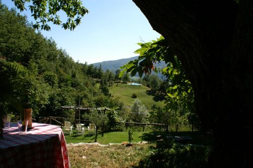 Agriturismo Il Gufo