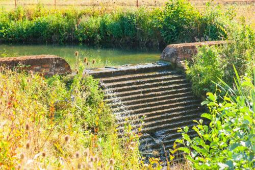 Campion Lodge - image 4