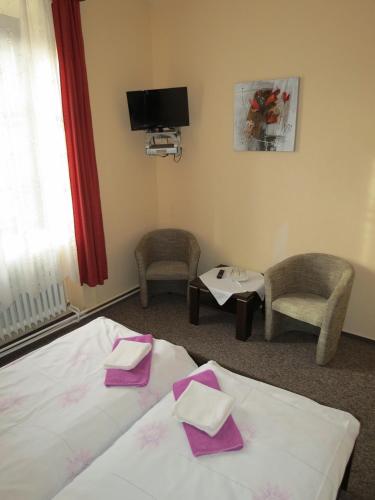 Hotel Český Dvůr