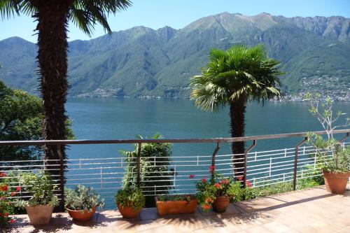Casa Roccia - Apartment - Pino Lago Maggiore