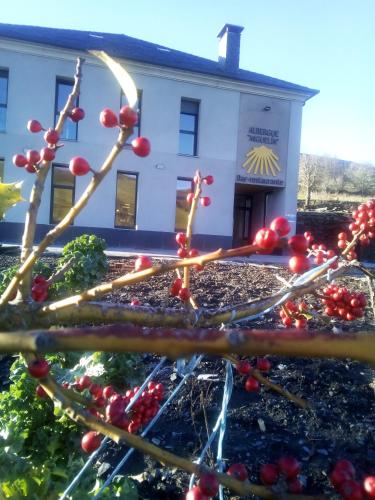 Albergue Miguelin - Accommodation - La Mesa