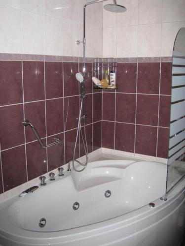 熱水浴缸, Apartment Medo in 瓦夫娜戈拉