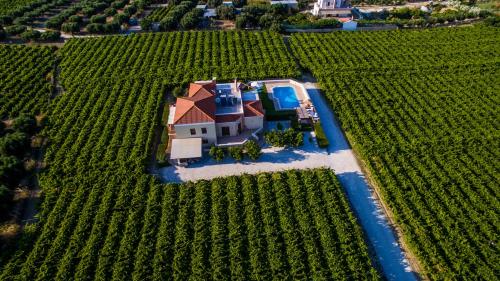 Cretan Vineyard Hill Villa