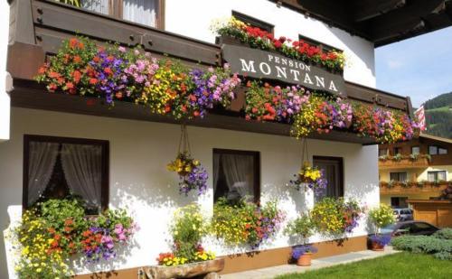 Pension Montana – Wagrain, MN