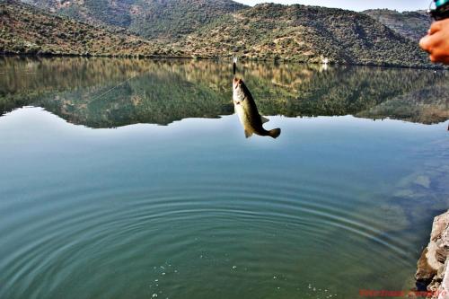 Moradias do Douro Internacional