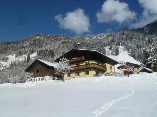 Rainerhof in Dorfgastein, Österreich