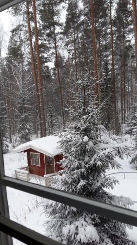 Surrounding environment, Nukula Guestrooms in Oravasaari