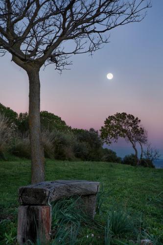 Appartamento al Forte di Talamonaccio