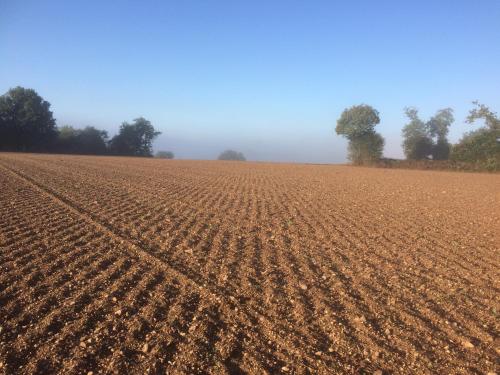 Le Gite du Grand Saulaie in Chambellay