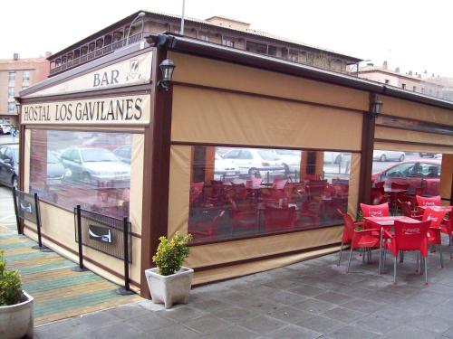 Gavilanes II - image 4