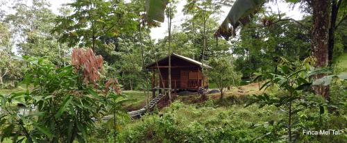 Mei Tai Cacao Lodge