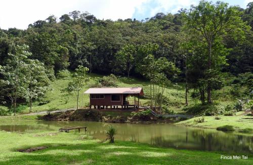Mei Tai Cacao Lodge