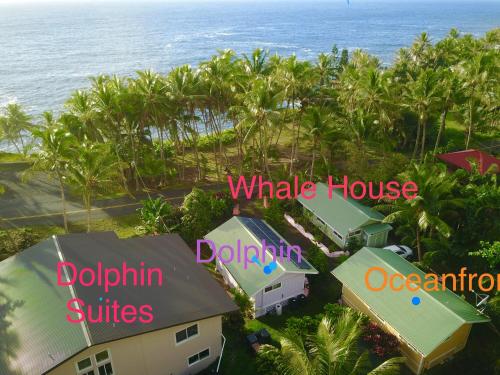 Whale House at Kehena Beach