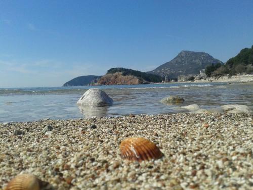 ชายหาด, Guesthouse Obala in ซูโตมอเร