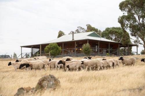 B&B Axedale - Gilgraves Vineyard Farmstay - Bed and Breakfast Axedale