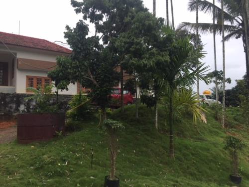 

Dreams Homestay