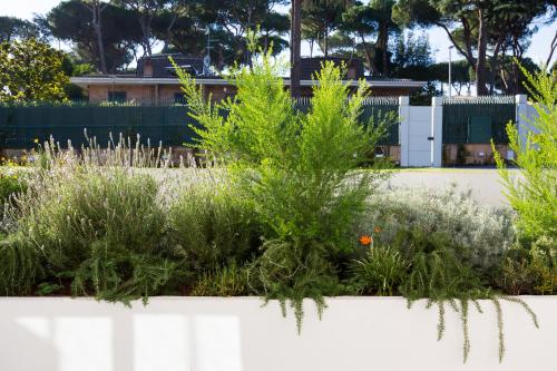 Niclas Luxury Apartments - image 7