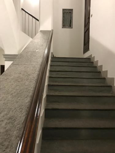 Rapanus Suites - image 10