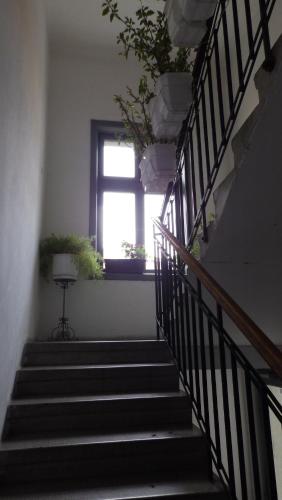 베오그라드 Jelena Apartment 3성급 싱글룸 객실