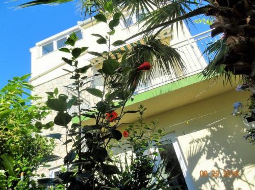 Apartments Kristo - image 4