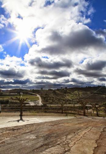  Clos Figueras in Gratallops