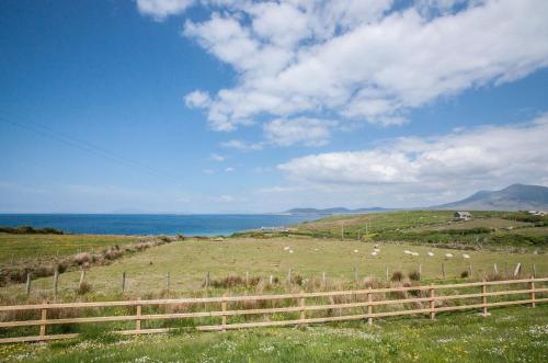 Cottage 259 - Renvyle - image 12