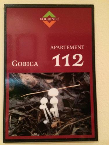 Apartments-rooms Vogrinec