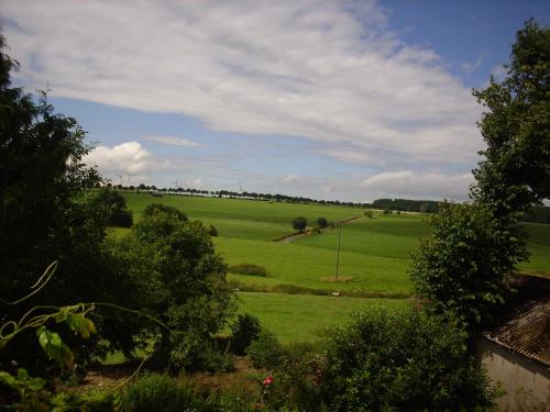 Willekes Blütenhof - image 2